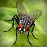 /album/bishop/photolia-a01-jpg/