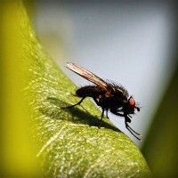 /album/bishop/photolia-a04-jpg/