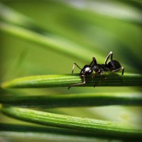 /album/bishop/photolia-a05-jpg/