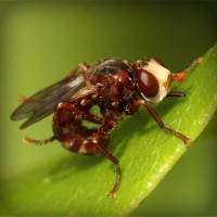 /album/bishop/photolia-a06-jpg/