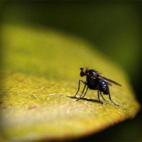 /album/bishop/photolia-a07-jpg/